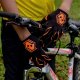 Avelio Phoenix - Black Orange